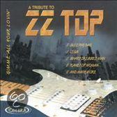 Tribute to ZZ Top [Membran]