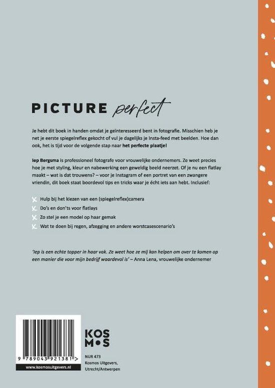 Boekomslag 'Picture perfect' met oranje decoratie en oranje stipjes. Tekst: 'Picture perfect', 'Fotograferen & nabewerken', 'IEP BERGSMA'. ISBN en website van Kosmos Uitgevers.