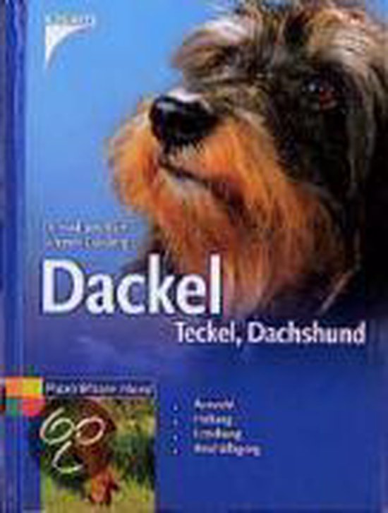 Dackel | Kurt Schmidt