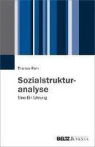 Sozialstrukturanalyse