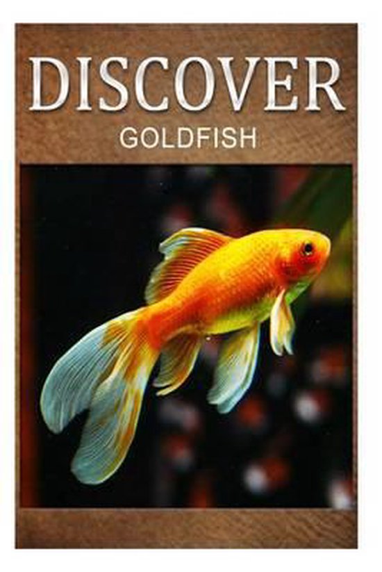 Goldfish - cover