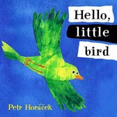 Hello Little Bird Board Book