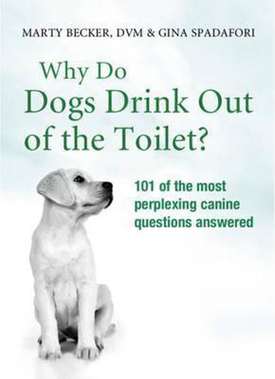 Why Do Dogs Drink Out Of The Toilet? - cover