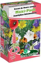 Sluis Garden - Mengsel Jaarlijkse bloemenzee Maxi-Pack