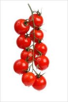 How to Grow Cherry Tomatoes
