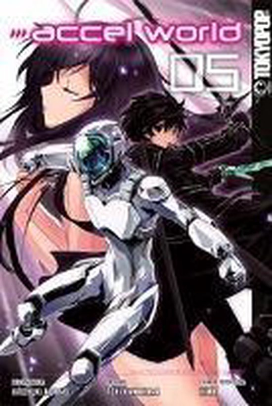 Accel World 05 - cover