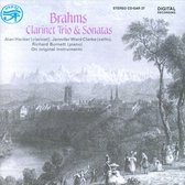 Hacker, Ward Clarke, Burnett - Brahms: Clarinet Trio And Sonatas (CD)