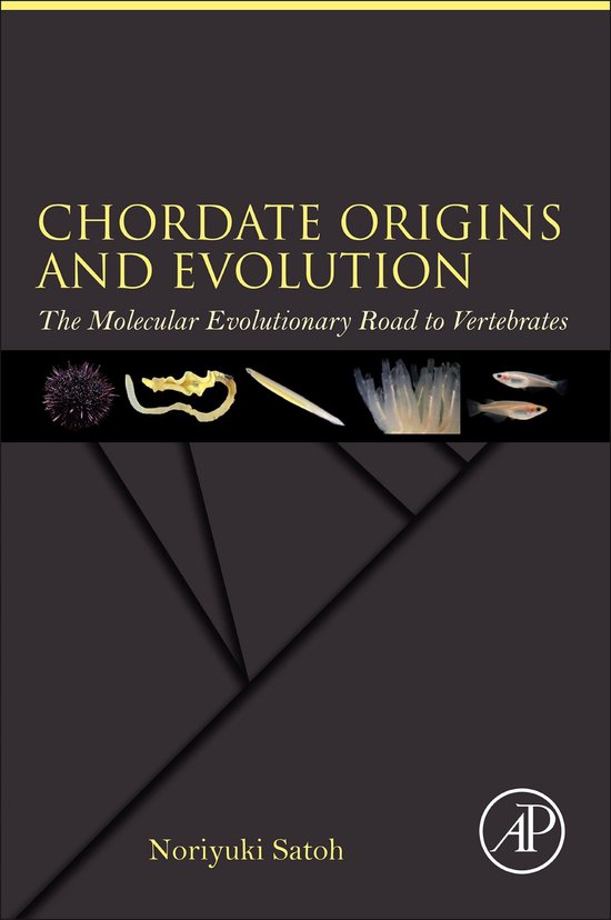 Foto: Chordate origins and evolution