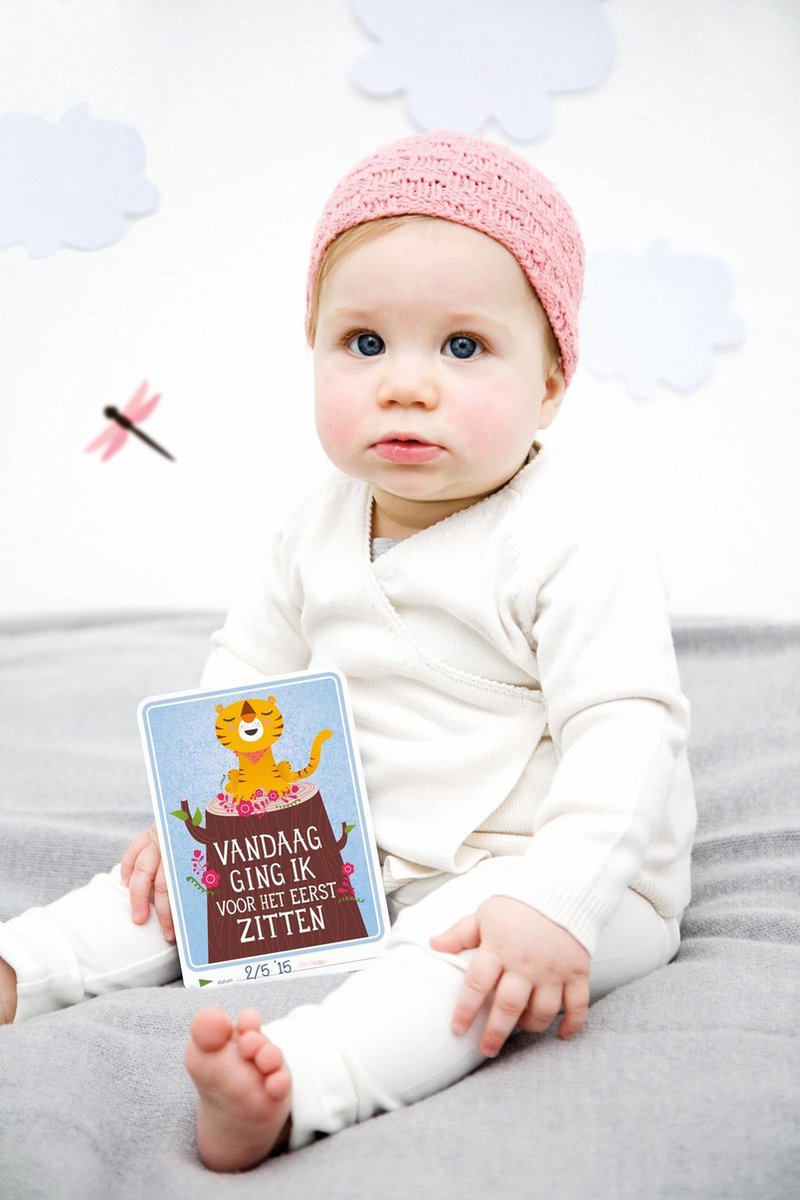 Mijlpaalkaarten Baby | Milestone Cards | Van Hammel