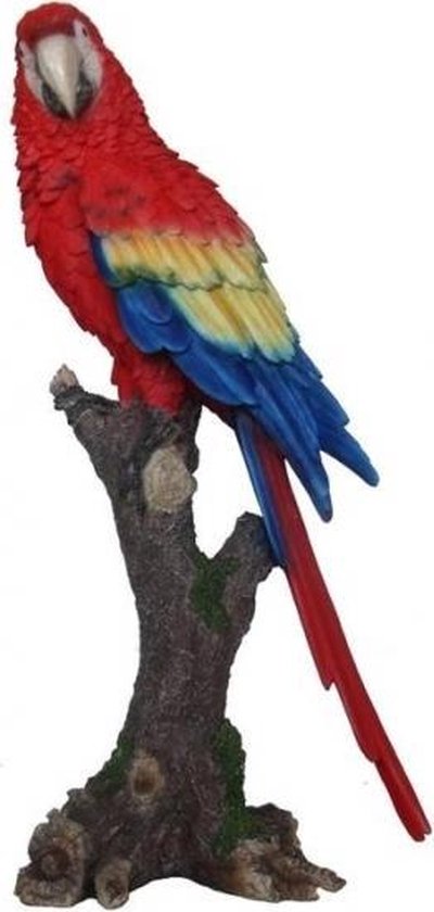 Strak ik ontbijt opwinding Beeld papegaai vogel 38 cm - tuinbeeld | bol.com