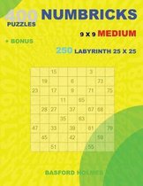 400 NUMBRICKS puzzles 9 x 9 MEDIUM + BONUS 250 LABYRINTH 25 x 25