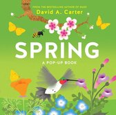 Spring Pop Up Book