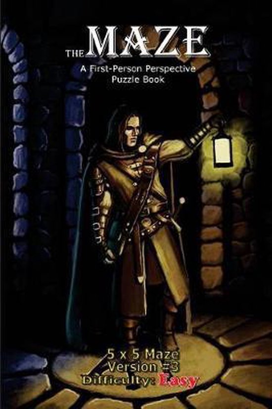 The Maze: A First-Person Perspective Puzzle Book-The Maze - cover