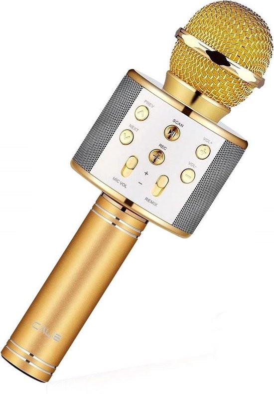 Magic Karaoke Microfoon Draadloos met Speaker - goudkleurig - WS-858 |  bol.com