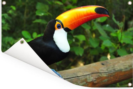 Un toucan assis sur un tronc d'arbre Affiche de jardin 120x80 cm - Toile de jardin / Toile d'extérieur / Peintures d'extérieur (décoration de jardin)