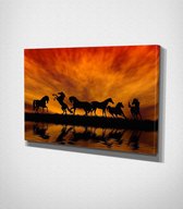 Horses In Sunset Canvas | 30x40 cm
