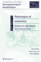 Pathologies of Awareness: Bridging the Gap between Theory and Practice