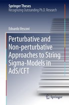 Springer Theses - Perturbative and Non-perturbative Approaches to String Sigma-Models in AdS/CFT