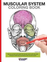 Muscular System Coloring Book