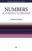 According to Promise (Numbers)