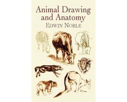 Animal Drawing and Anatomy