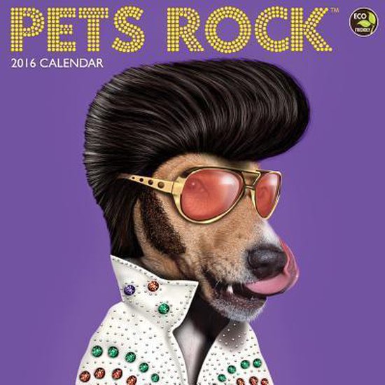 Pets Rock Calendar 2024 Who Are They Jenni Leanna