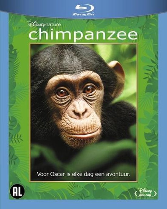 Cover van de film 'Chimpanzee'