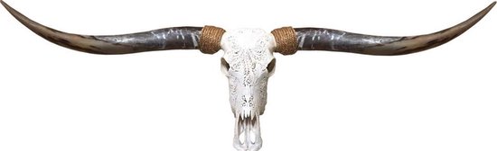 Longhoorn Skull Gegraveerd uit Bali - Skull - Dierenschedel - Stierenkop - 160 cm breed