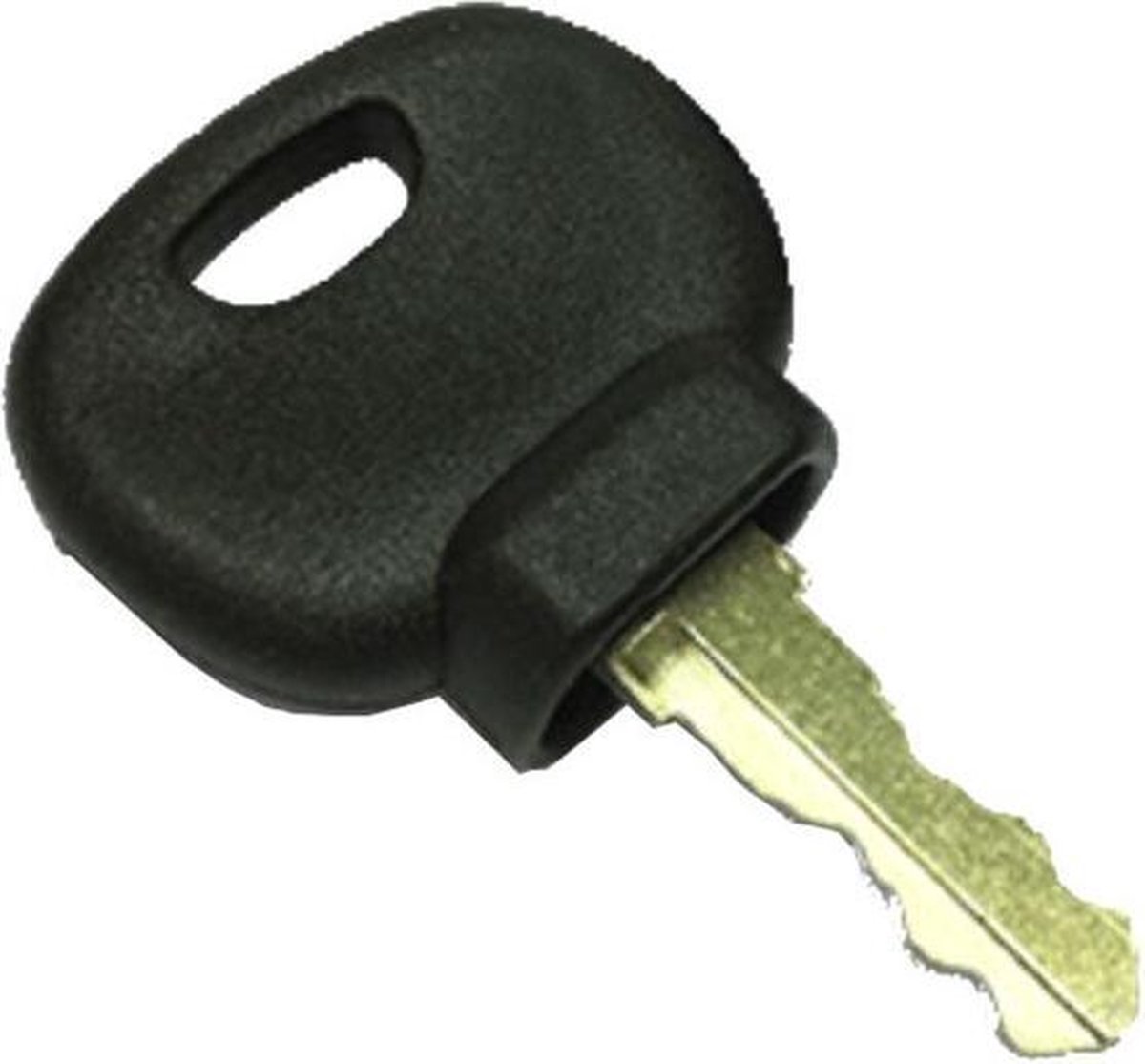 Vetus 209 Reserve Motor Sleutel Zilver