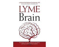 Lyme Brain
