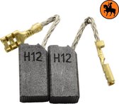 Koolborstelset voor Hilti Hamer TE25 - 6,3x10x19mm - Vervangt 76594