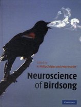 Neuroscience of Birdsong