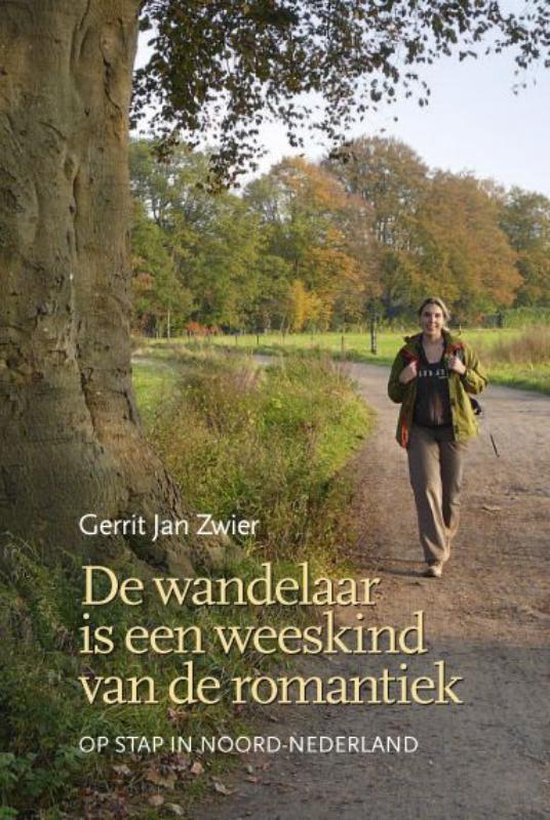 Bol Com De Wandelaar Is Een Weeskind Van De Romantiek Gerrit Jan Zwier 9789033003455 Boeken