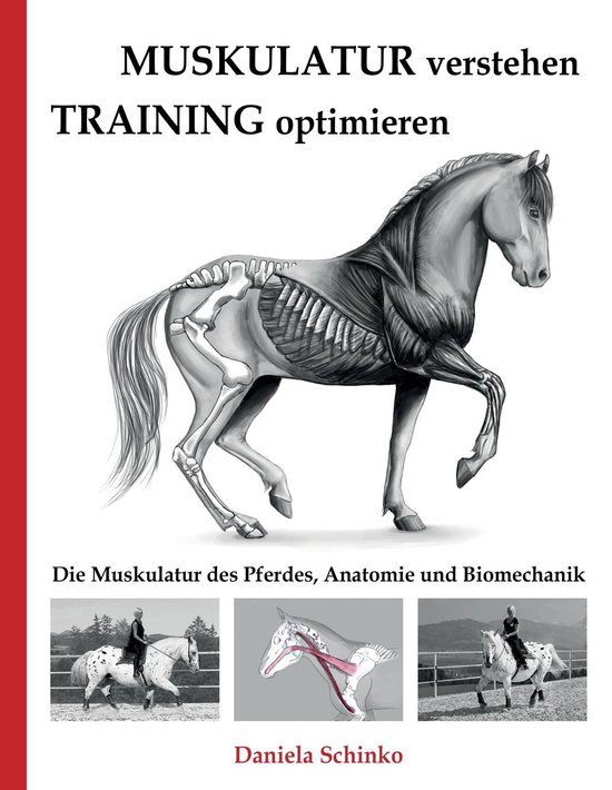 Muskulatur verstehen - Training optimieren - cover