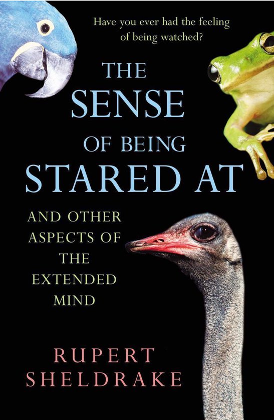 The Sense Of Being Stared At - cover