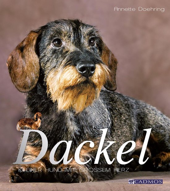 Hunderassen - Dackel - cover