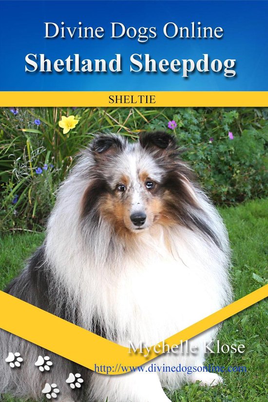 Divine Dogs Online 51 - Shetland Sheepdog - cover
