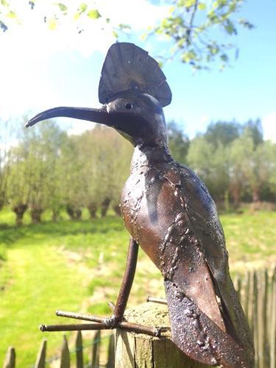 Collega Bewonderenswaardig Korst Hop (vogel met kuif), tuinbeeld in metaal, 20 cm, handgemaakte vogel uit  Zimbabwe | bol.com