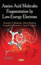 Amino Acid Molecules Fragmentation by Low-Energy Electrons