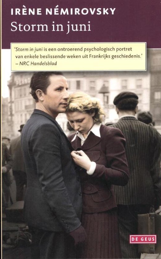 Storm in juni — Paperback