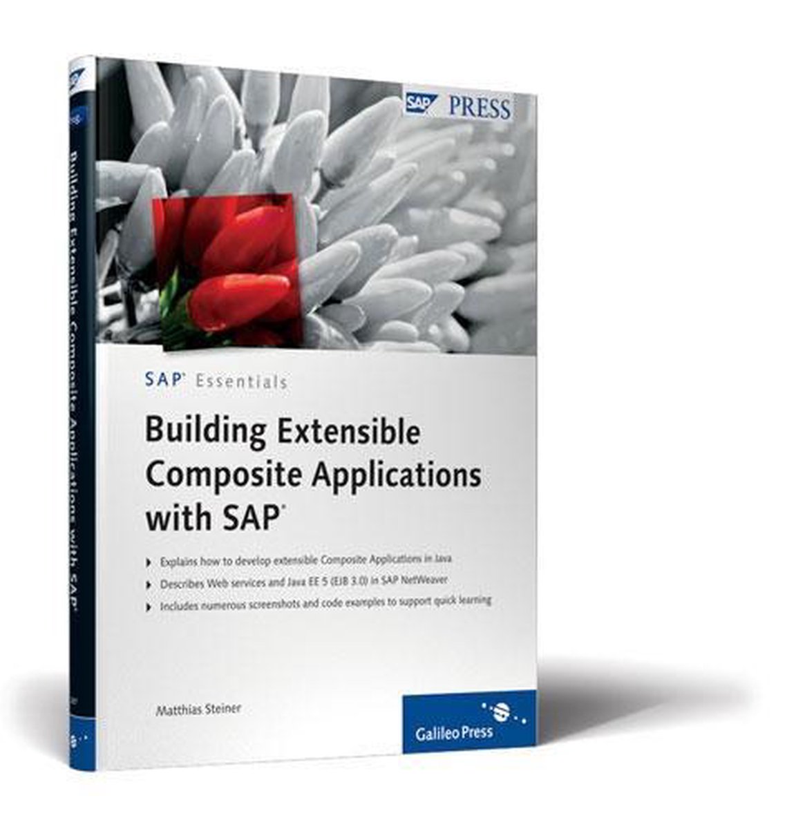 Building Extensible Composite Applications with SAP