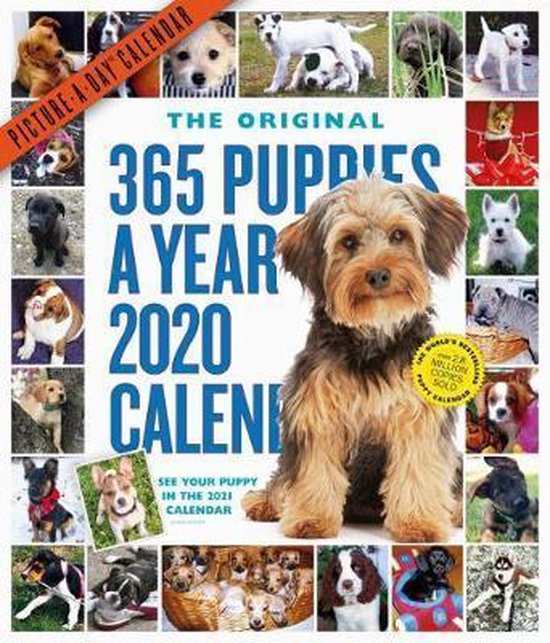2020 365 Puppies A Year Picture A Day Calendar Workman Calendars 
