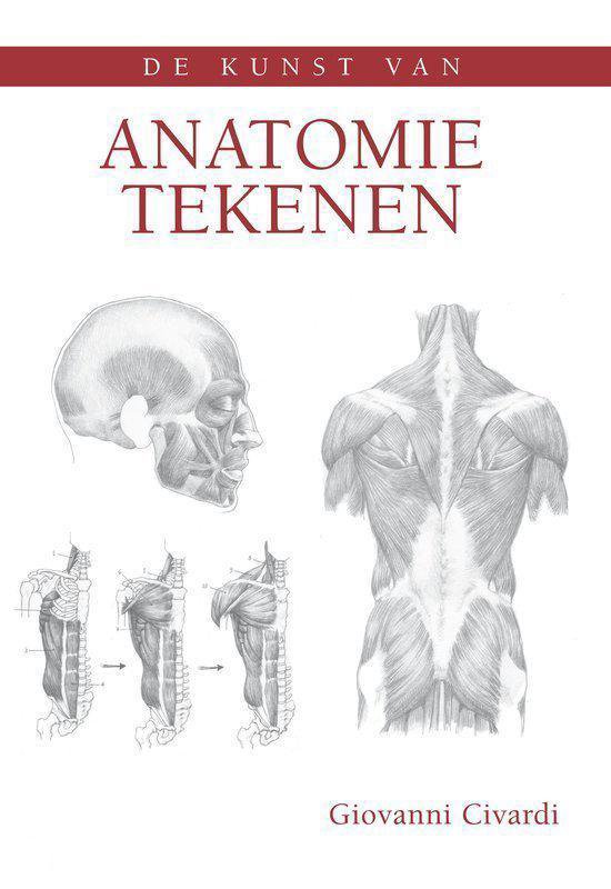 De kunst van anatomie tekenen