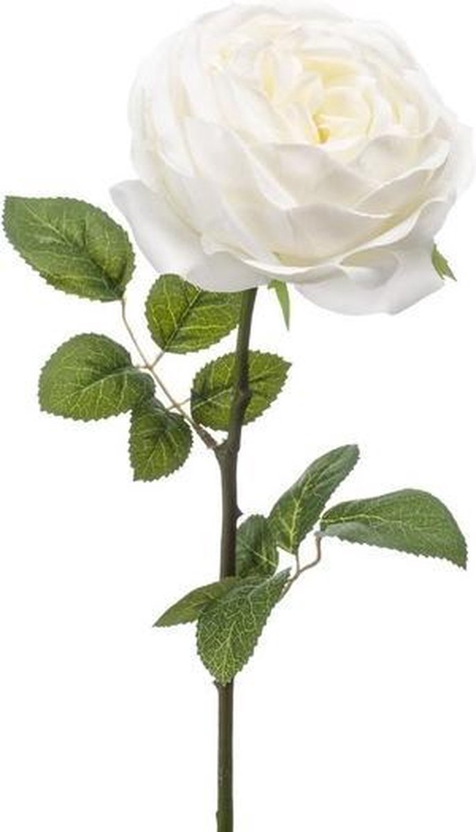 Fleur artificielle rose blanche 66 cm | bol.com