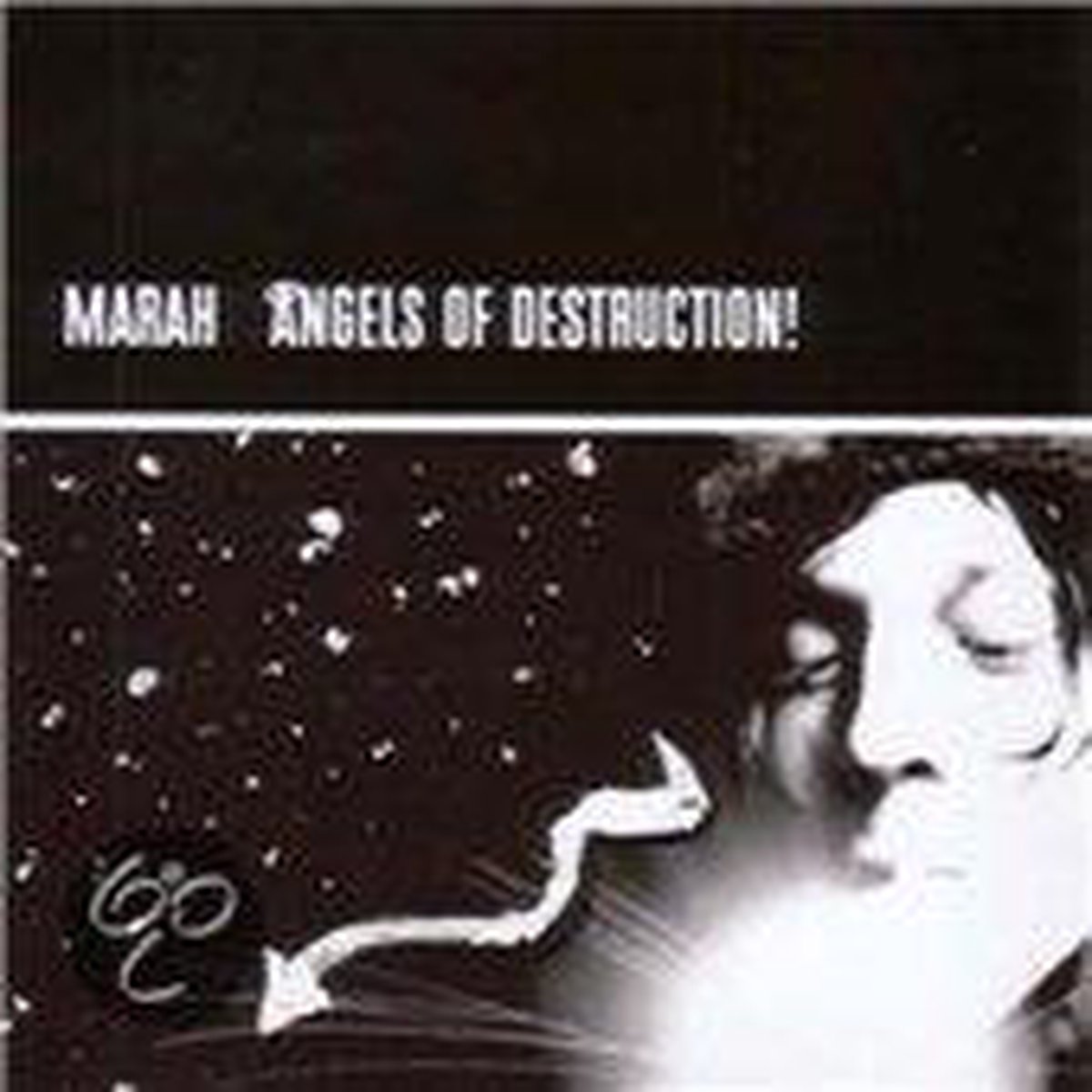 Angels Of Destruction