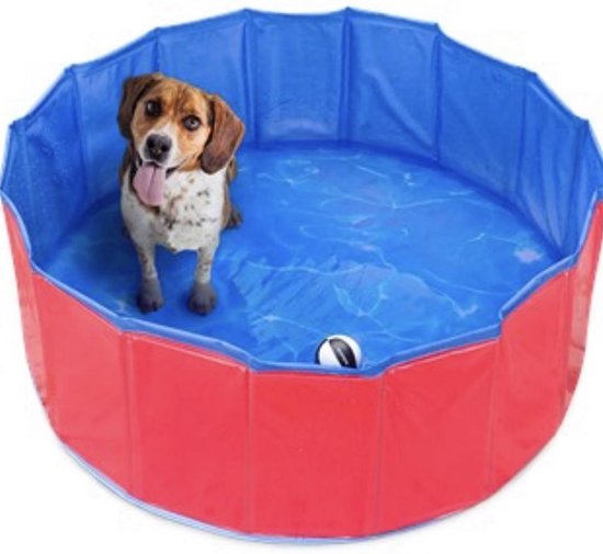 Hondenzwembad van Versteeg® - Rood - Honden Bad - Verkoeling Hond - Zwembad  | bol.com