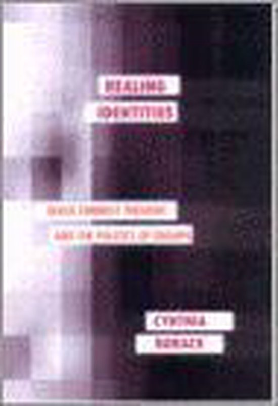 Psychoanalysis and Social Theory- Healing Identities - cover