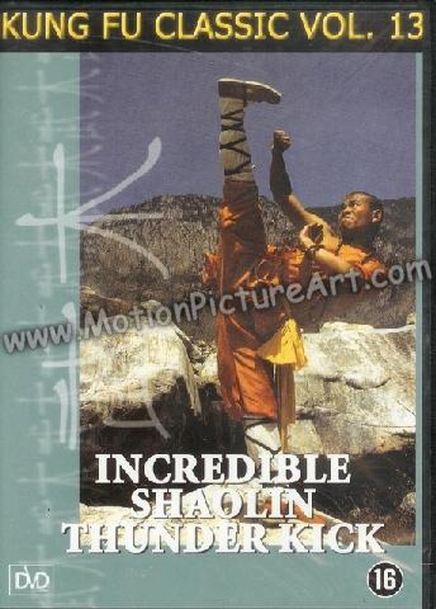 Incredible Shaolin Thunder Kick