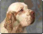 Clumber Spaniel Muismat