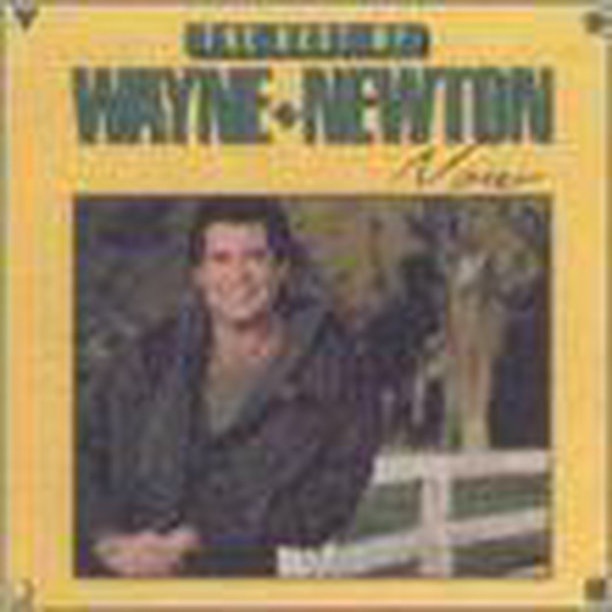 Best Of Wayne Newton Now